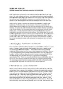 RUBH AN DUNAIN Report.pdf