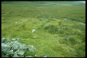 NH19SE0006 - Enclosure, Building, Badavanich 1.jpg