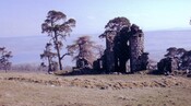 AS_002.JPG