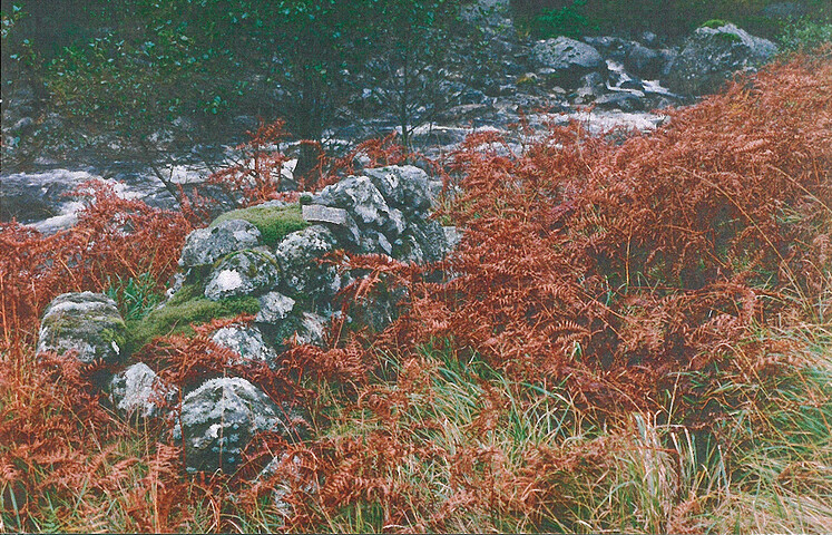 Site19.bmp