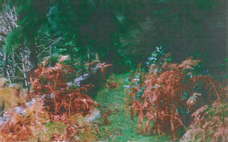 Site19a.bmp