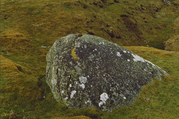 NH92NE0004 - Cup Marked Stone, Laggan Hill.jpg