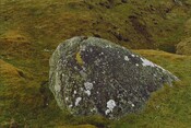 NH92NE0004 - Cup Marked Stone, Laggan Hill.jpg