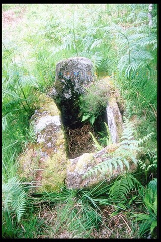 NM76NE0003 - Burial Cist, Ballnaselich, Glen Hurich Forest 1.jpg