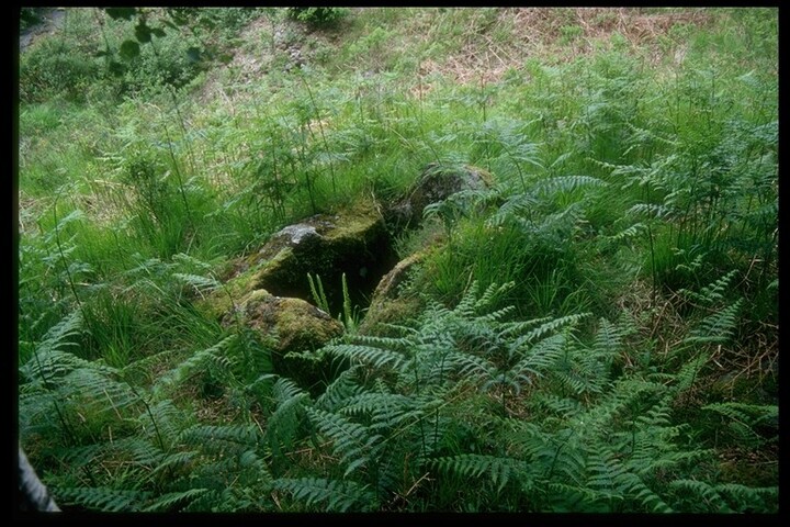 NM76NE0003 - Burial Cist, Ballnaselich, Glen Hurich Forest 2.jpg