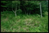 NM76NE0003 - Burial Cist, Ballnaselich, Glen Hurich Forest 3.jpg