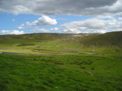 P8090011.JPG