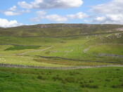 P8090014.JPG