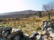 238432 932099 - Enc 2, facing approx SW AJP.JPG