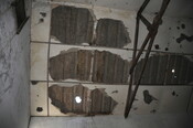 DSC_1800.jpg