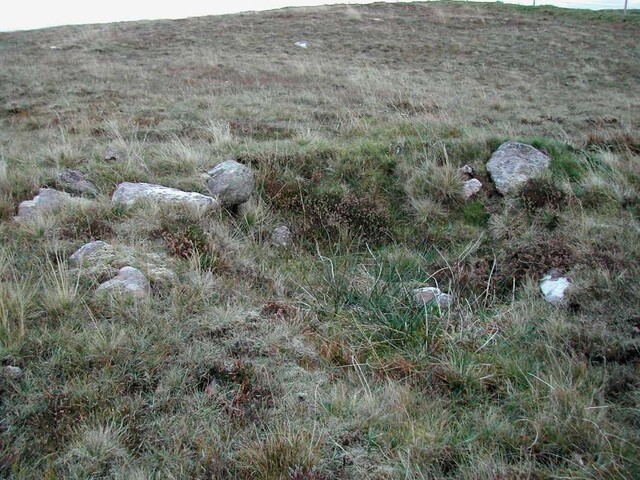 Site17.jpg