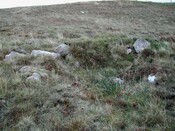 Site17.jpg