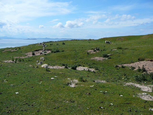 SHG24428_56.JPG