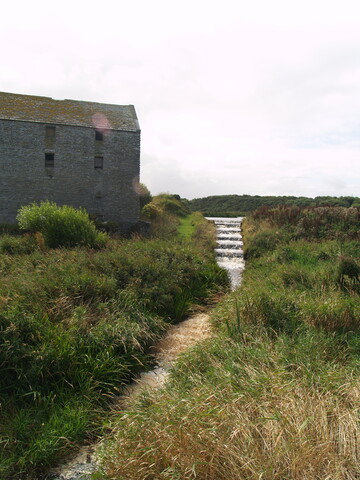 P8225807.jpg