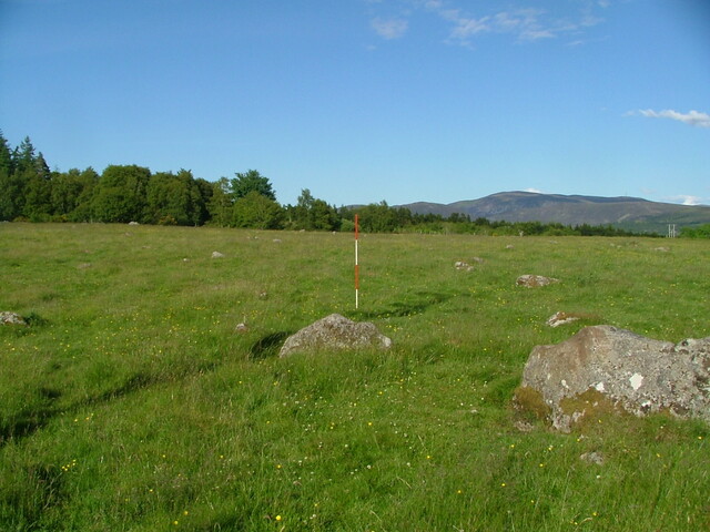 DSCF3527.JPG