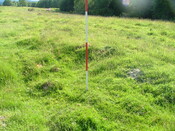 DSCF3528.JPG