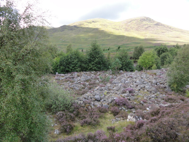 Dyke 010.jpg
