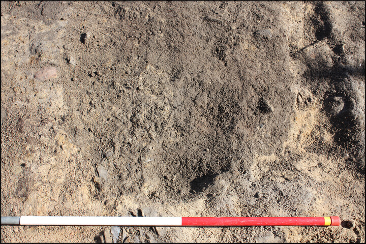 SHG25020_Plate 17.jpg