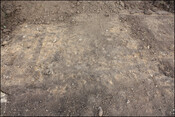 SHG25020_plate 10.jpg