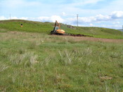 DSCF0001.JPG