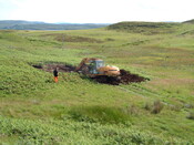 DSCF0002.JPG