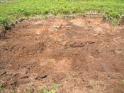 DSCF0007.JPG
