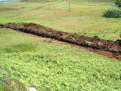 DSCF0018.JPG