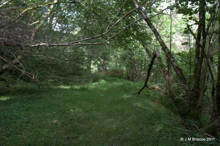 High Bridge over River Spean - track down to bridge_6076744783_o.jpg