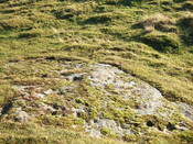 MHG6774_2 facing SE.JPG