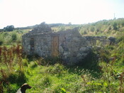P1010005.JPG