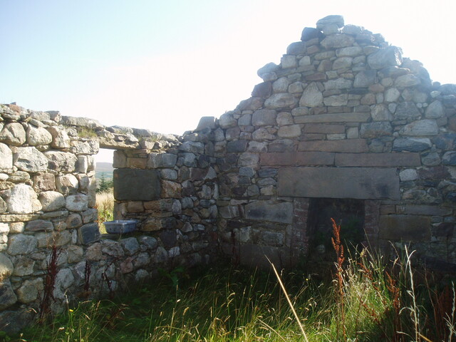 P1010006.JPG