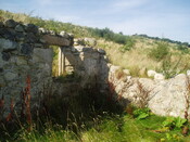 P1010007.JPG
