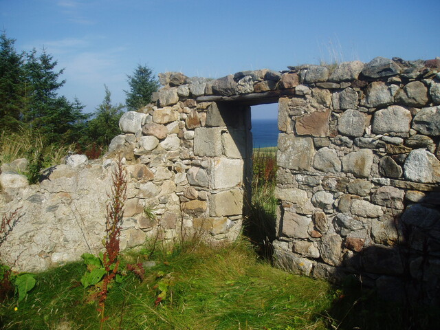 P1010008.JPG