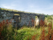 P1010009.JPG
