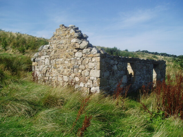 P1010010.JPG