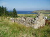 P1010012.JPG