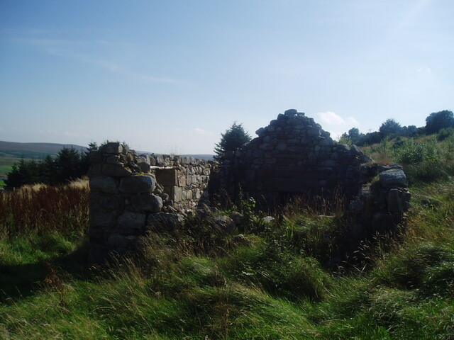 P1010015.JPG