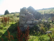 P1010016.JPG