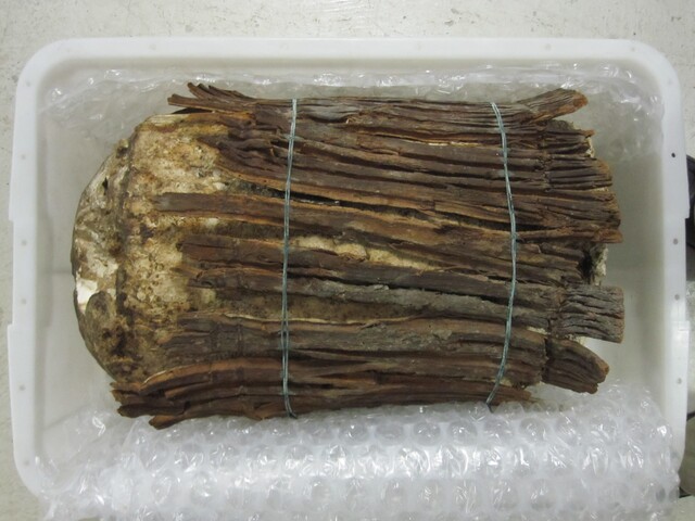 EHG3772_30.jpg