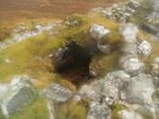 MHG4815_image_04.jpg