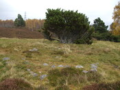 MHG25009_Dec07_1.jpg