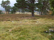 MHG25009_Dec07_2.jpg