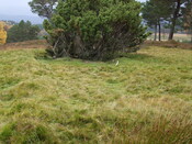 MHG25009_Dec07_3.jpg