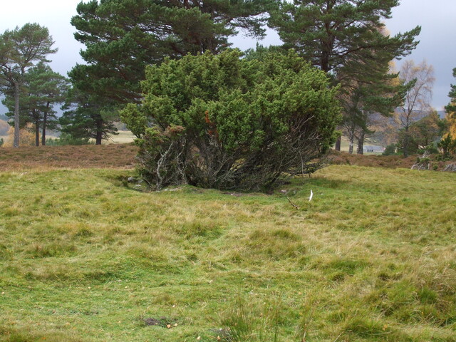 MHG25009_Dec07_4.jpg