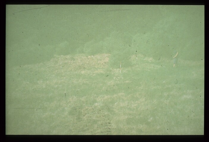 7753.jpg