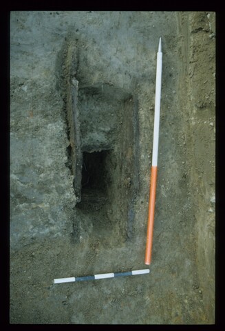 11997.jpg