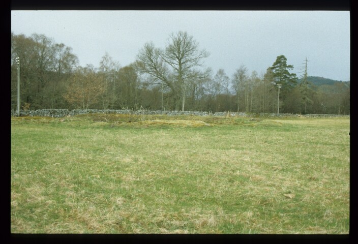 12332.jpg