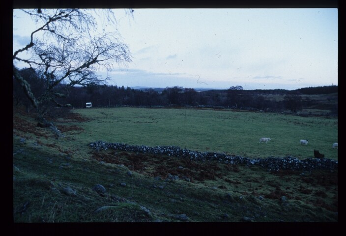 13510.jpg