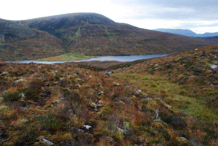 EHG4877_03.JPG