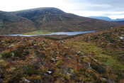 EHG4877_03.JPG